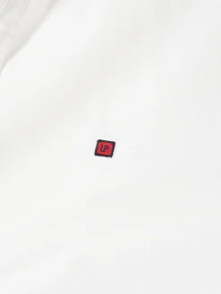 Camisa oxford regular fit de algodão