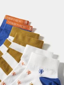 Pack de meias soquetes coloridas