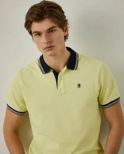 Polo piqué com riscas a contraste