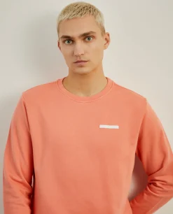 Sweater básica de algodão