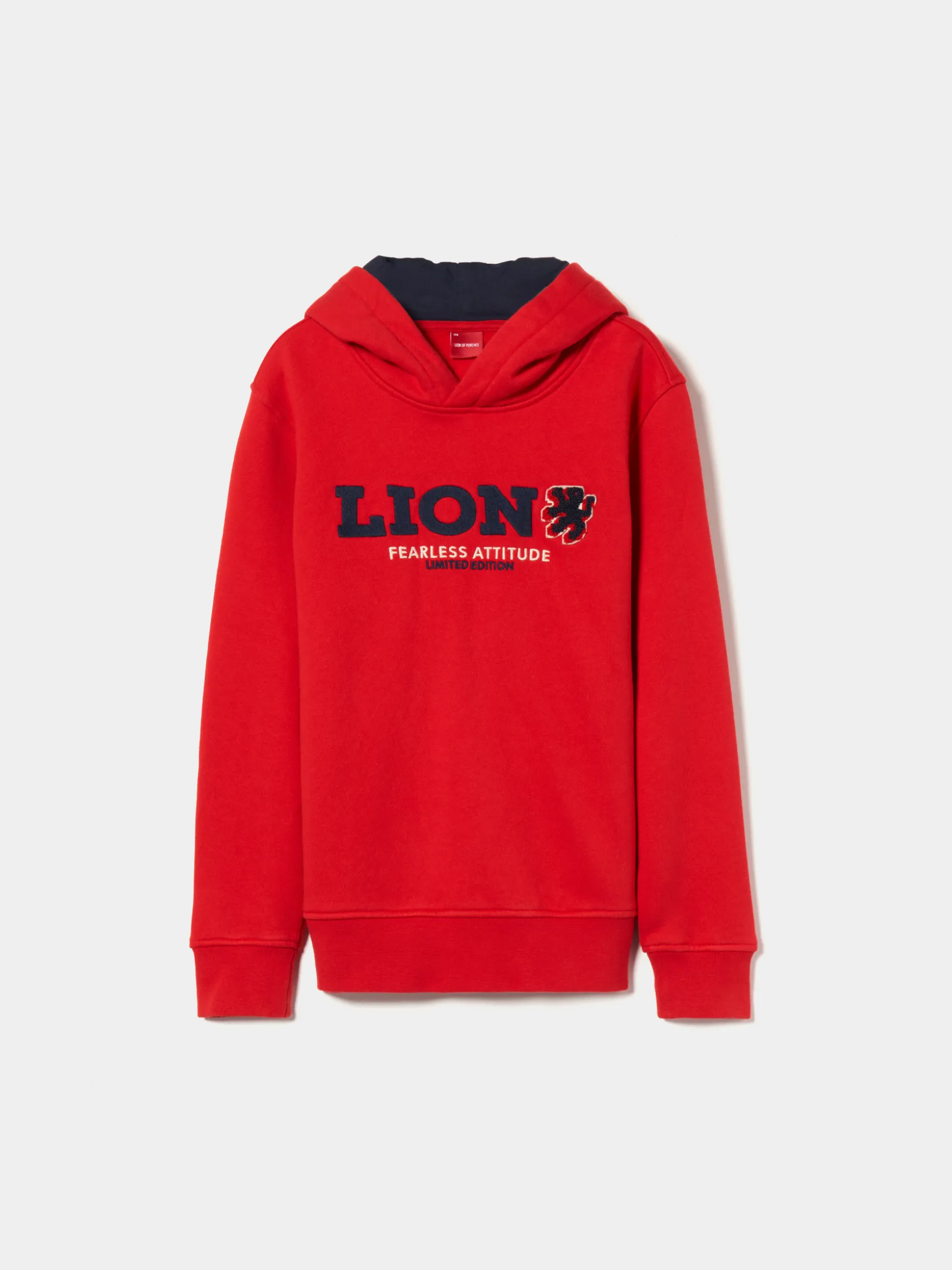 Sweater de algodão com capuz