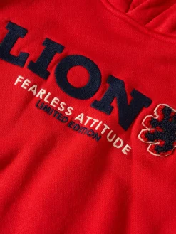 Sweater de algodão com capuz