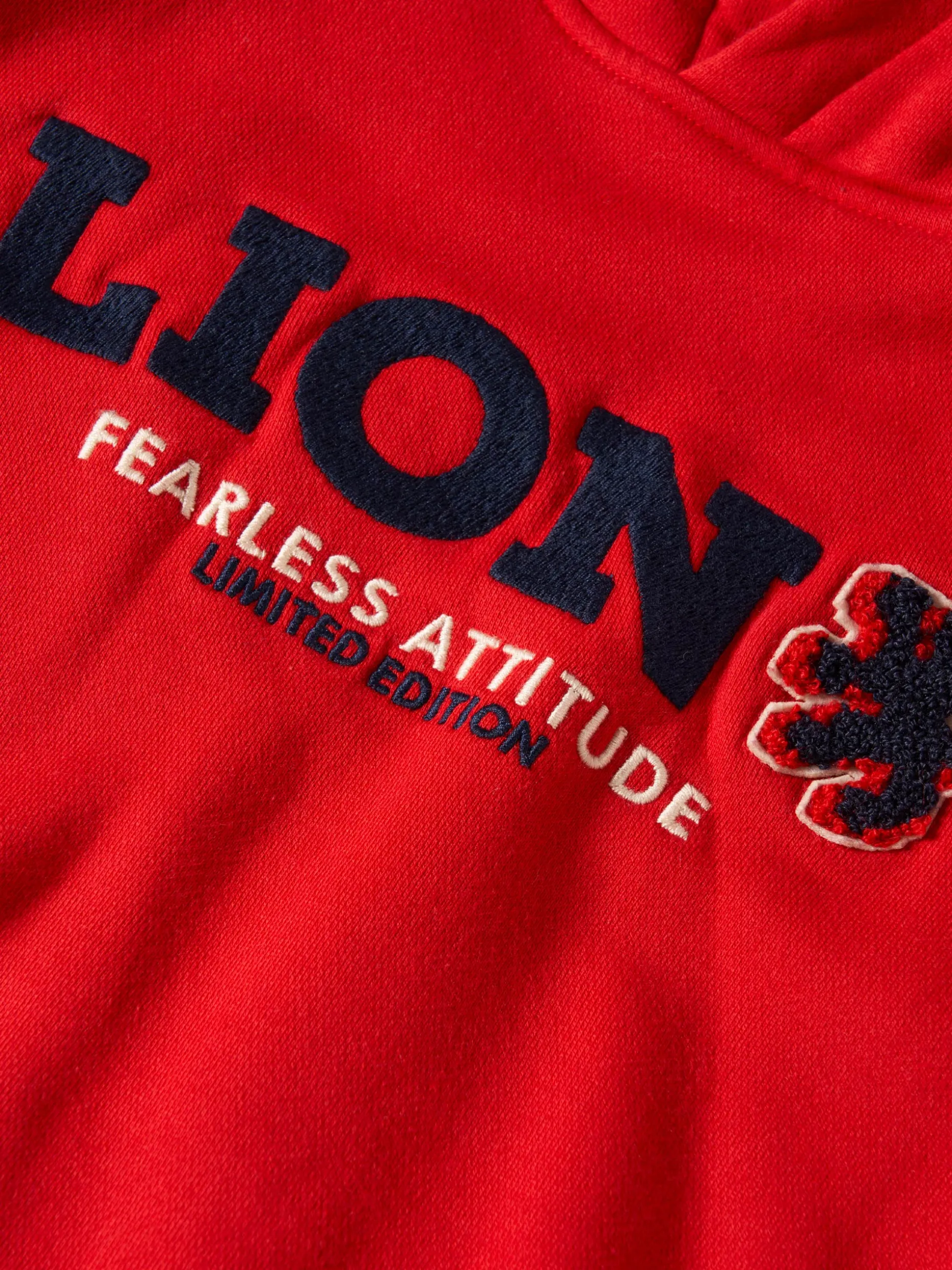 Sweater de algodão com capuz