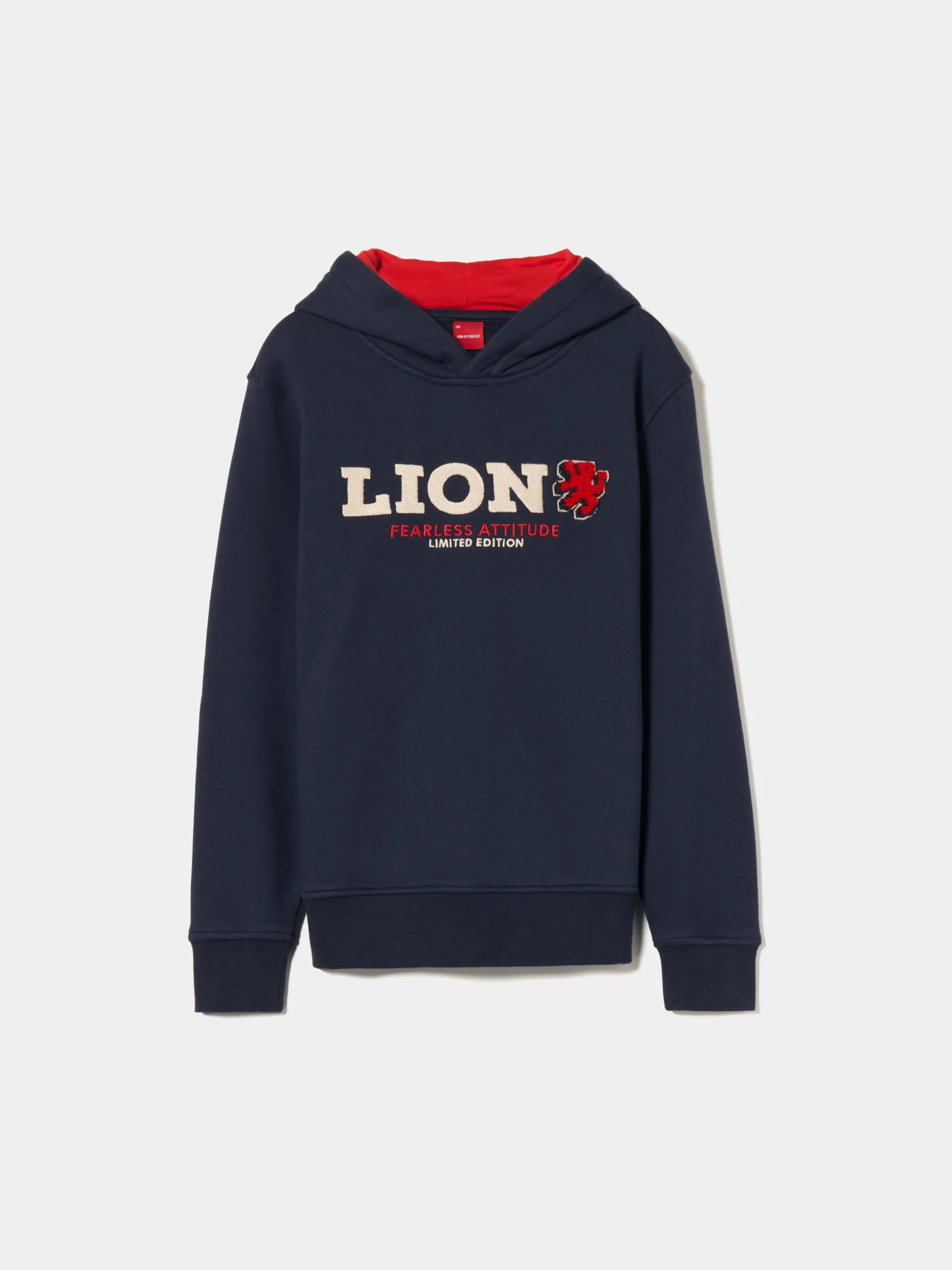 Sweater de algodão com capuz