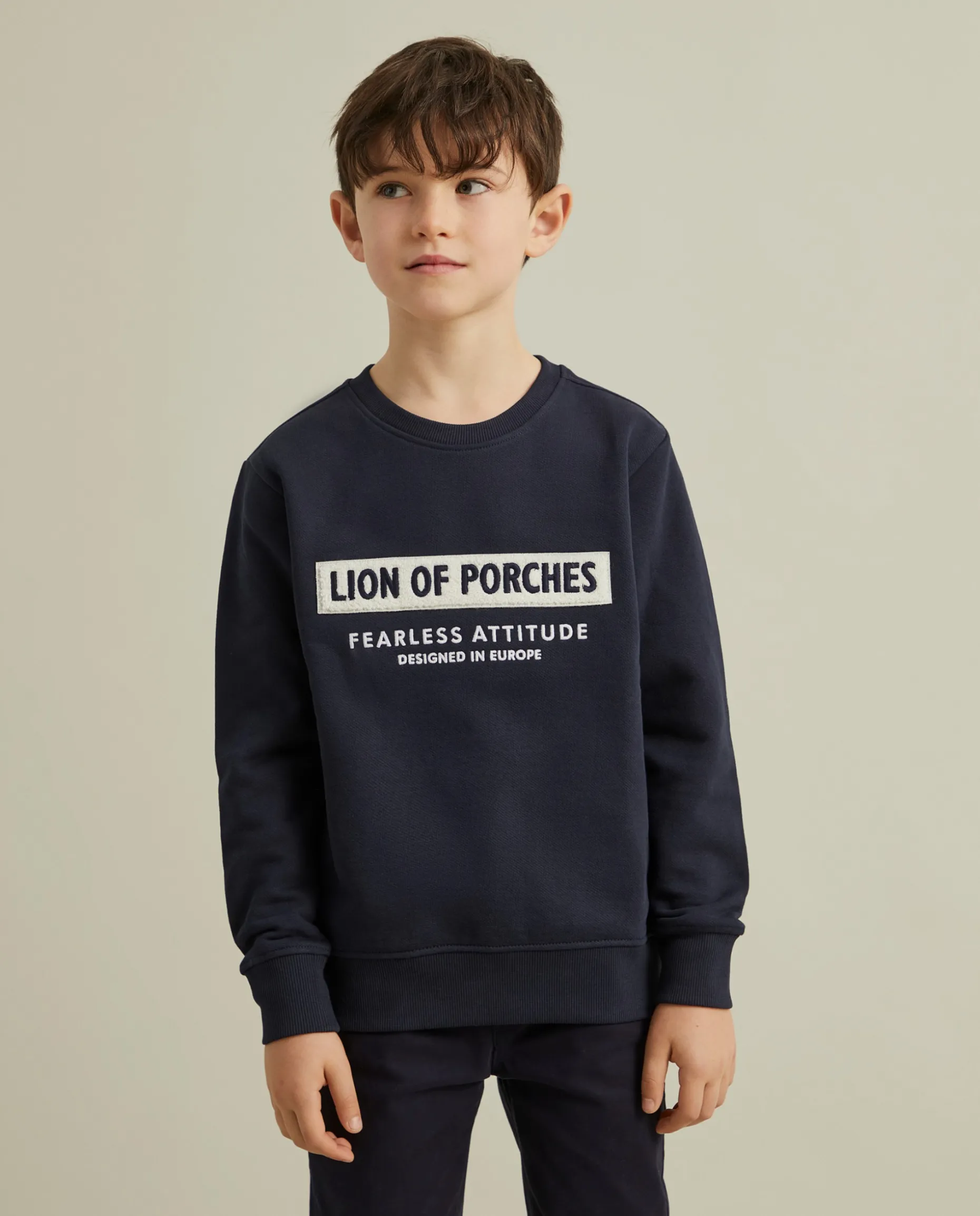Sweater de algodão Lion of Porches