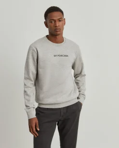 Sweater Lion of Porches