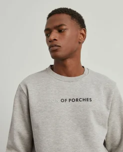 Sweater Lion of Porches