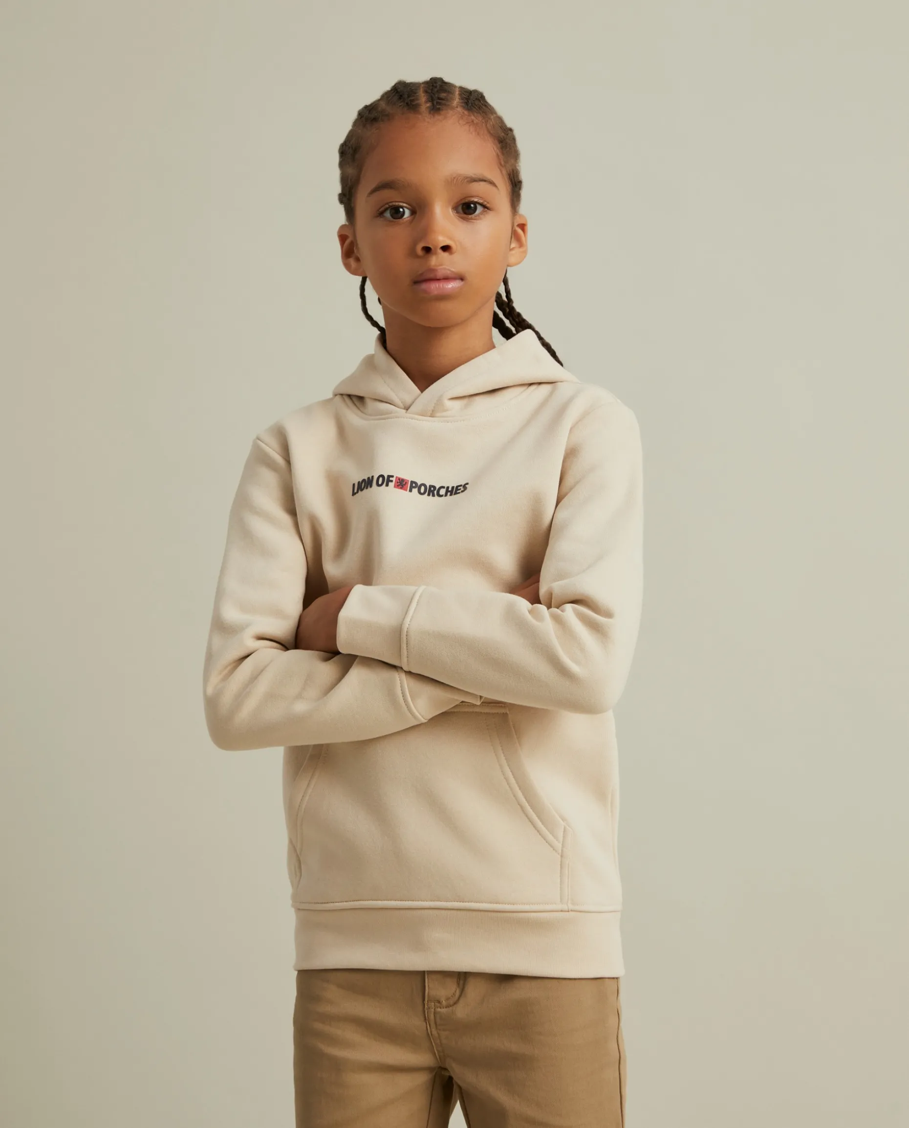 Sweater Lion of Porches com capuz