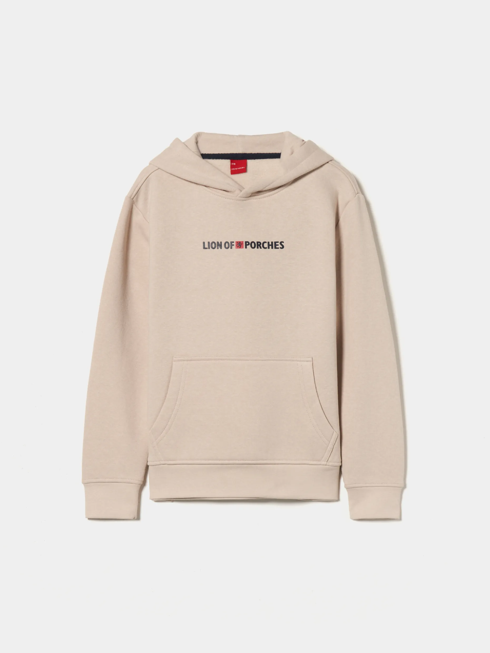 Sweater Lion of Porches com capuz