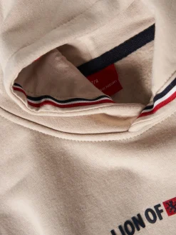 Sweater Lion of Porches com capuz