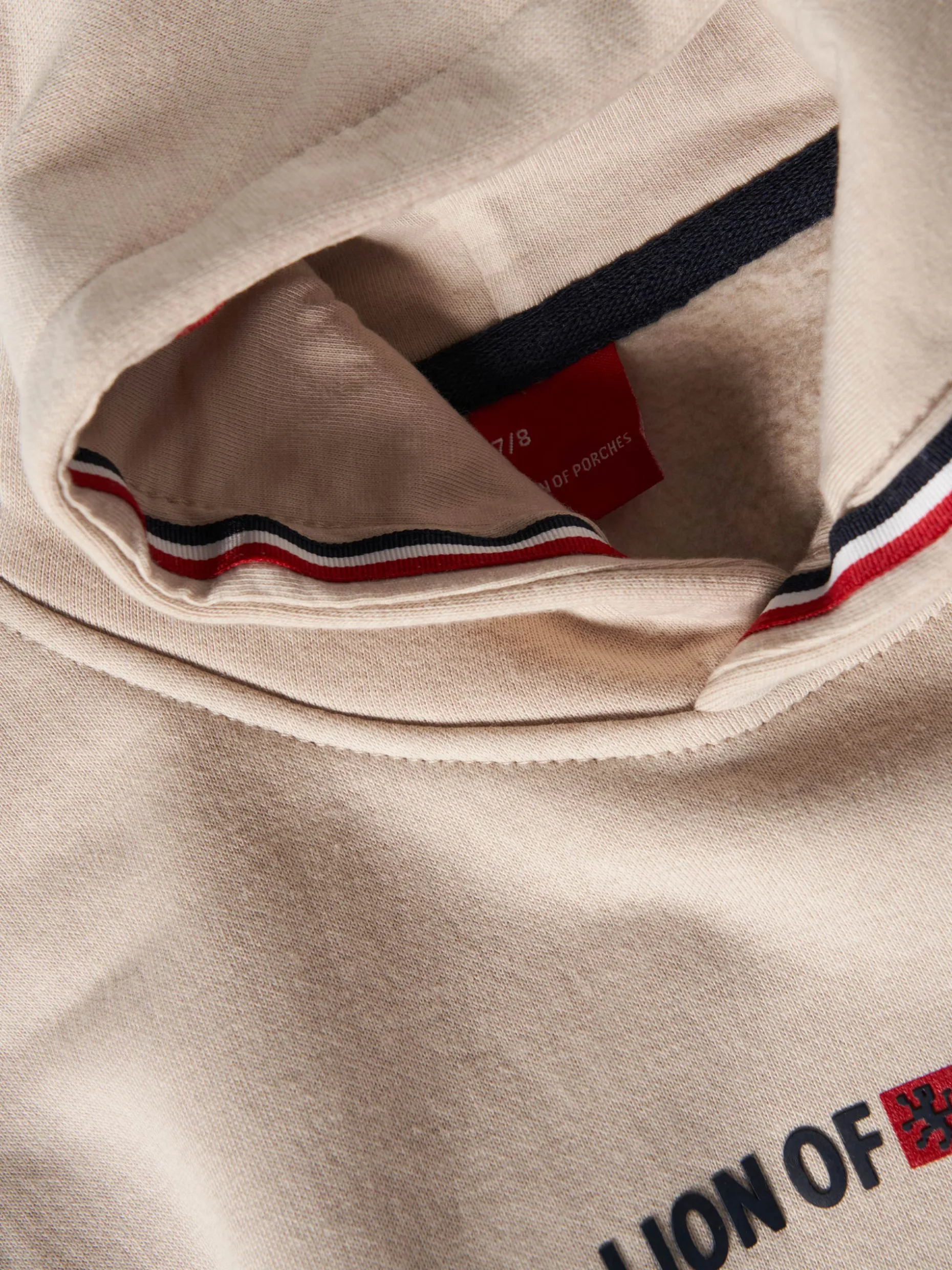 Sweater Lion of Porches com capuz