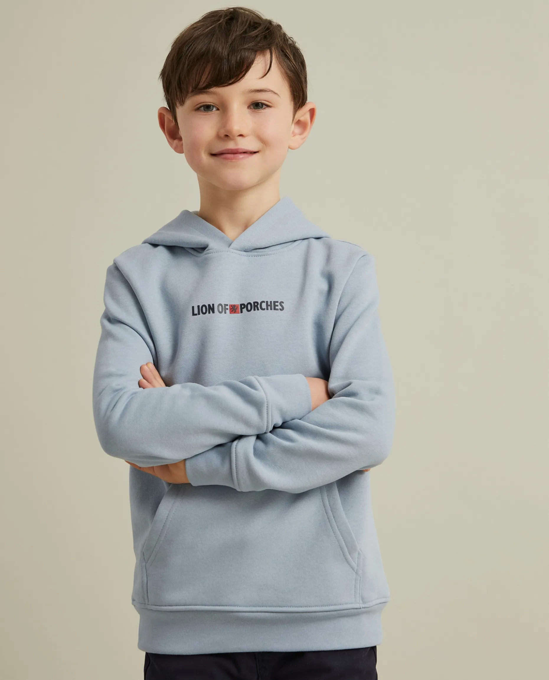 Sweater Lion of Porches com capuz