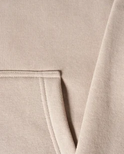 Sweater Lion of Porches com capuz