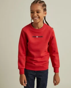 Sweater manga comprida Lion of Porches